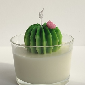 Τhe "Cactus" candle - αρωματικά κεριά