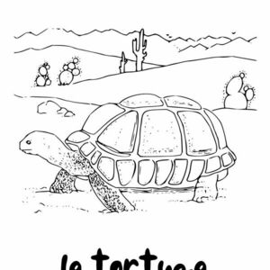 E-book ισπανικών Χρωματίζω μαθαίνοντας τα ζώα - μορφή PDF/ μέγεθος Α4 - φύλλα εργασίας - 2