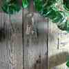 Tiny 20230503081950 0b669f0c martyrika mprelok gia