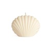 Tiny 20230506115440 35a3d3bd mini sea shell