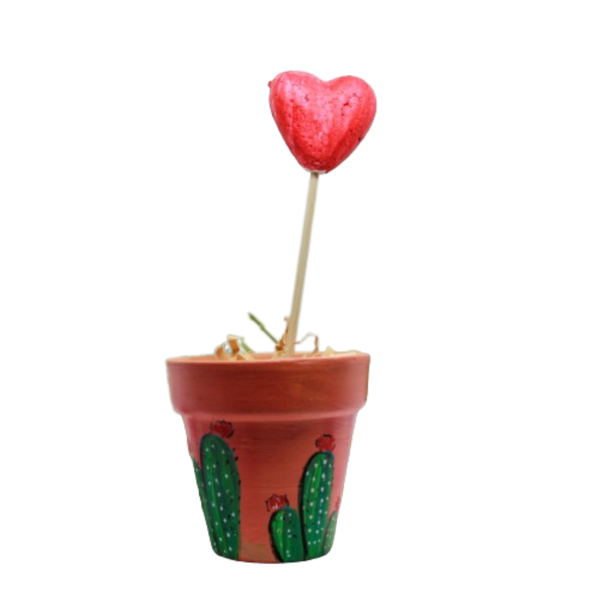 Πήλινο γλαστράκι 6.5 *6 ζωγραφισμένο στο χέρι "cactus" - ζωγραφισμένα στο χέρι, πηλός, κασπώ, personalised, κάκτος