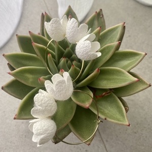 Han Dynasty white - κρίκοι, λουλούδι, ατσάλι, boho, νυφικά
