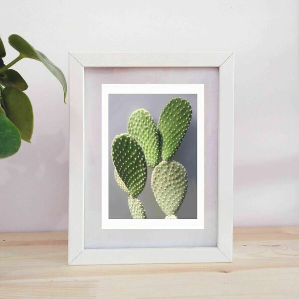 Ψηφιακή δημιουργία //dezain cactus click - αφίσες, κάκτος, καλλιτεχνική φωτογραφία - 4