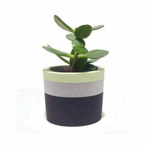 Τσιμεντένιο κυλινδρικό κασπώ 7.0 Χ 8.5 //enkei charcoal n’ green - τσιμέντο, κασπώ, σκυρόδεμα