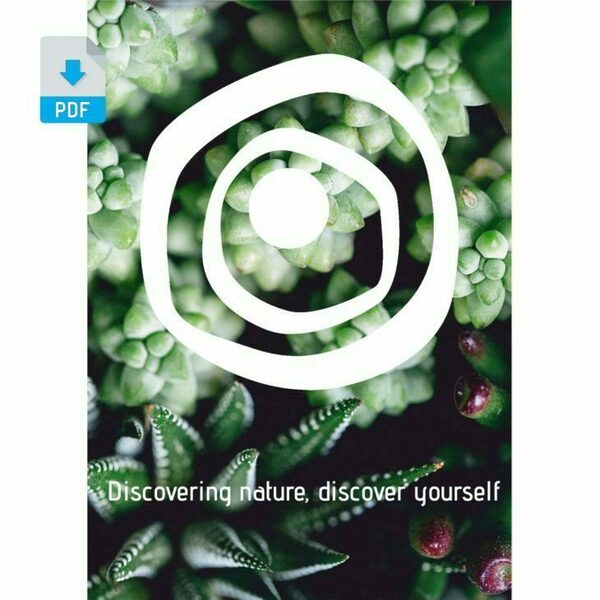 Ψηφιακή δημιουργία //dezain discover nature - αφίσες, κάκτος, καλλιτεχνική φωτογραφία