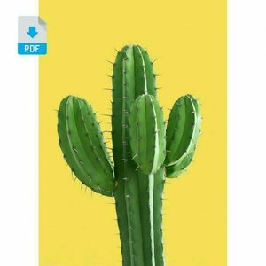 Ψηφιακή δημιουργία //dezain yellow cactus - αφίσες, κάκτος
