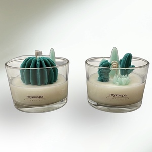 Succulent soy candles (set of two) - αρωματικά κεριά