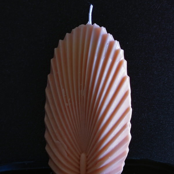 Leaf - αρωματικά κεριά - 2