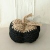 Tiny 20230901095003 c2cb9f4c plekti kolokytha jute