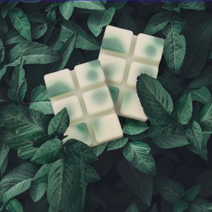 Wet Grass and Cucumber - Wax Walts - αρωματικά χώρου, soy wax, vegan κεριά - 2