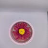 Tiny 20231013082440 93aaf54b flower in the