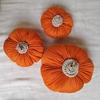 Tiny 20231016092300 1a1e2d6e orange decor pumpkins