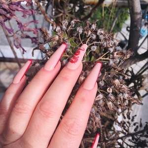 Press On Nails - Red Dragon - 3