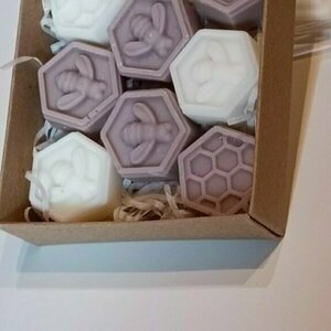 Wax melts tiramisu - 2
