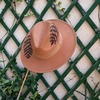 Tiny 20231115103636 b688fe7d camel hat