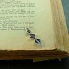 Tiny 20231214111412 2c149ba7 lucky charm 25