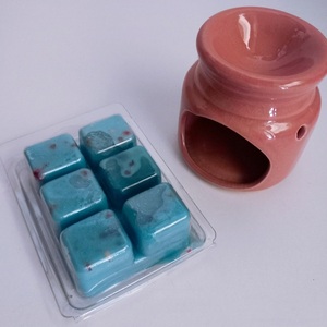 WAX MELTS SPICY FRESH - φυτικό κερί, αρωματικά χώρου, soy wax, vegan κεριά