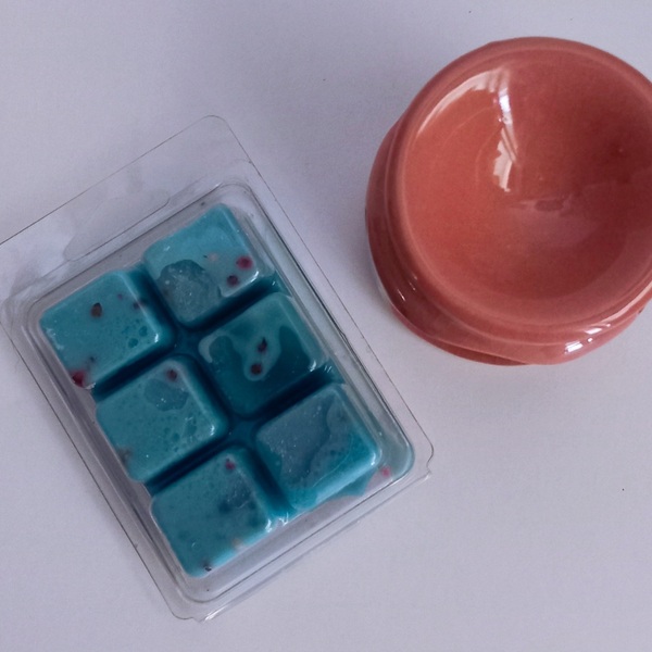 WAX MELTS SPICY FRESH - φυτικό κερί, αρωματικά χώρου, soy wax, vegan κεριά - 3