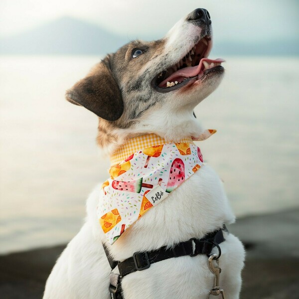 Μπαντάνα Σκύλου Βαμβακερή-Διπλής Όψης Παγωτά-Καρό MEDIUM (40 εκ. Περίμετρο Λαιμού) - διπλής όψης, καρό, μπαντάνες, παγωτό, 100% βαμβακερό - 5