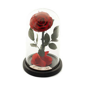 Παντοτινό τριαντάφυλλο σε γυάλα 22 Χ 14 εκατοστά - γυαλί, τριαντάφυλλο, διακοσμητικά
