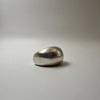 Tiny 20240129173131 d8059d4b silver dome dachtylidi