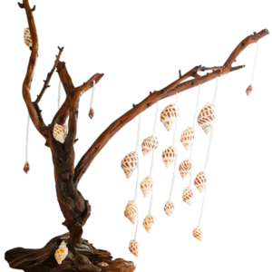 Χειροποίητο ξύλινο διακοσμητικό δέντρο από θαλασσόξυλα και κοχύλια - ξύλο, κοχύλι, χειροποίητα, διακοσμητικά