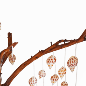 Χειροποίητο ξύλινο διακοσμητικό δέντρο από θαλασσόξυλα και κοχύλια - ξύλο, κοχύλι, χειροποίητα, διακοσμητικά - 4