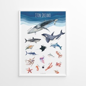 A4 Αφίσα. Ζώα Θάλασσας. Ζώα Ωκεανού. Επιμορφωτικό Πόστερ - κορίτσι, αγόρι, αφίσες, ζωάκια