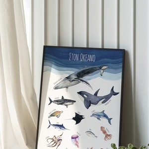 A4 Αφίσα. Ζώα Θάλασσας. Ζώα Ωκεανού. Επιμορφωτικό Πόστερ - κορίτσι, αγόρι, αφίσες, ζωάκια - 3