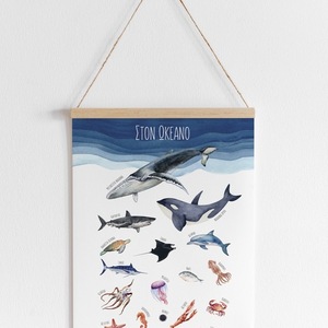 A4 Αφίσα. Ζώα Θάλασσας. Ζώα Ωκεανού. Επιμορφωτικό Πόστερ - κορίτσι, αγόρι, αφίσες, ζωάκια - 4