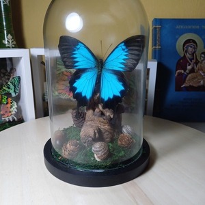 Γυαλινος θόλος με αληθινή μπλε πεταλούδα - γυαλί, πεταλούδα, boho, διακοσμητικά