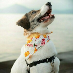 Μπαντάνα Σκύλου Βαμβακερή-Διπλής Όψης Παγωτά-Καρό LARGE (50 εκ. Περίμετρο Λαιμού) - διπλής όψης, καρό, μπαντάνες, παγωτό, 100% βαμβακερό - 5