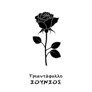 Kολιέ λουλούδι γέννησης, Ιούνιος, Τριαντάφυλλο, με Φεγγαρόπετρα. - ημιπολύτιμες πέτρες, επιχρυσωμένα, λουλούδι, ατσάλι, φλουριά - 5