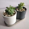 Tiny 20240504163826 d4b35d02 set3tem glastrakia se