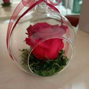 Forever rose κόκκινο και λιλά χρώμα σε γυάλινη μπάλα - γυαλί, τριαντάφυλλο, διακοσμητικά, για δασκάλους - 3