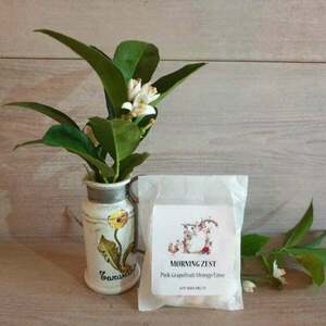 Pink Grapefruit Orange & Lime Ροζ Γκρειπφρουτ Πορτοκαλι & Μοσχολεμονο Wax Melts 40g - αρωματικά κεριά, vegan friendly, waxmelts - 2