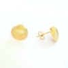 Tiny 20240620152017 5c9f8c9d mini shells cheiropoiita