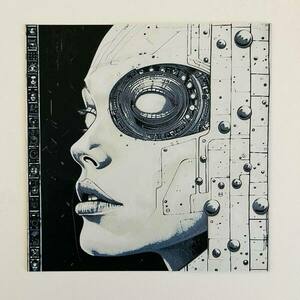 Τρισδιάστατος ανάγλυφος πίνακας "Bionic girl" - πίνακες & κάδρα, 3d, 3d κάδρο