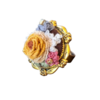 Tiny 20240708193616 93099d92 flowers of the