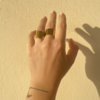 Tiny 20240709092617 926911b7 minimal chryso dachtylidi