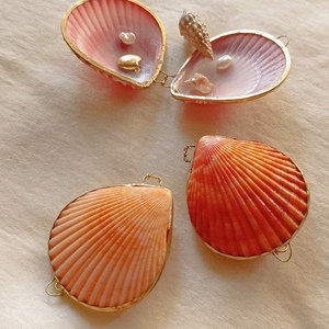 Seashell case | θήκη - αξεσουάρ από φυσικό κοχύλι - απαραίτητα καλοκαιρινά αξεσουάρ