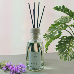 Αρωματικό χώρου Reed Diffuser s 100ml - αρωματικό, αρωματικά χώρου