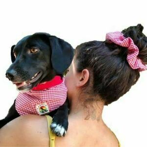 Yabalo Dog's Bandana + Mum's Scrunchie / Countryfarm - μπαντάνες, μεγάλα scrunchies - 2