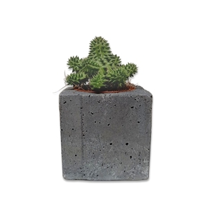 Tσιμεντένιο κυβόσχημο κασπώ 7.0 X 7.0 //cubo dark grey - τσιμέντο, κασπώ, σκυρόδεμα