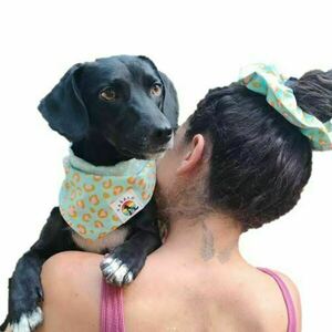 Yabalo Dog's Bandana + Mum's Scrunchie / Adventurous Tranquility - μπαντάνες, μεγάλα scrunchies - 2