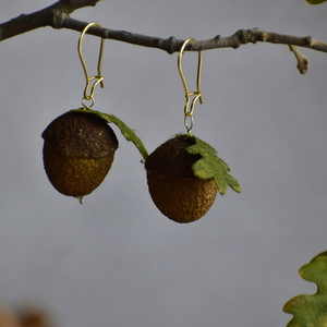 Acorn - Σκουλαρίκια κρεμαστά - επιχρυσωμένα, ασήμι 925, μεγάλα, γάντζος