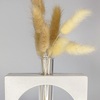 Tiny 20250122142220 8ed04f7e anthostiles