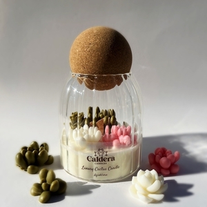 Luxury Cactus Agioklima (Χειροποίητο, αρωματικό κερί Σόγιας 200g - αρωματικά κεριά, φυτικό κερί, soy wax