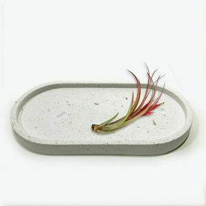 Tσιμεντένιος δίσκος terrazzo 1.6 Χ 9.5 Χ 18.2 //ozara W T - τσιμέντο, είδη σερβιρίσματος, πιατάκια & δίσκοι - 2
