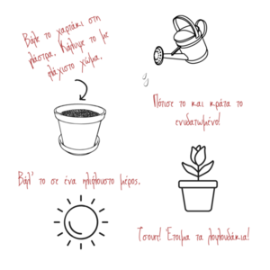 Seed hearts - 5